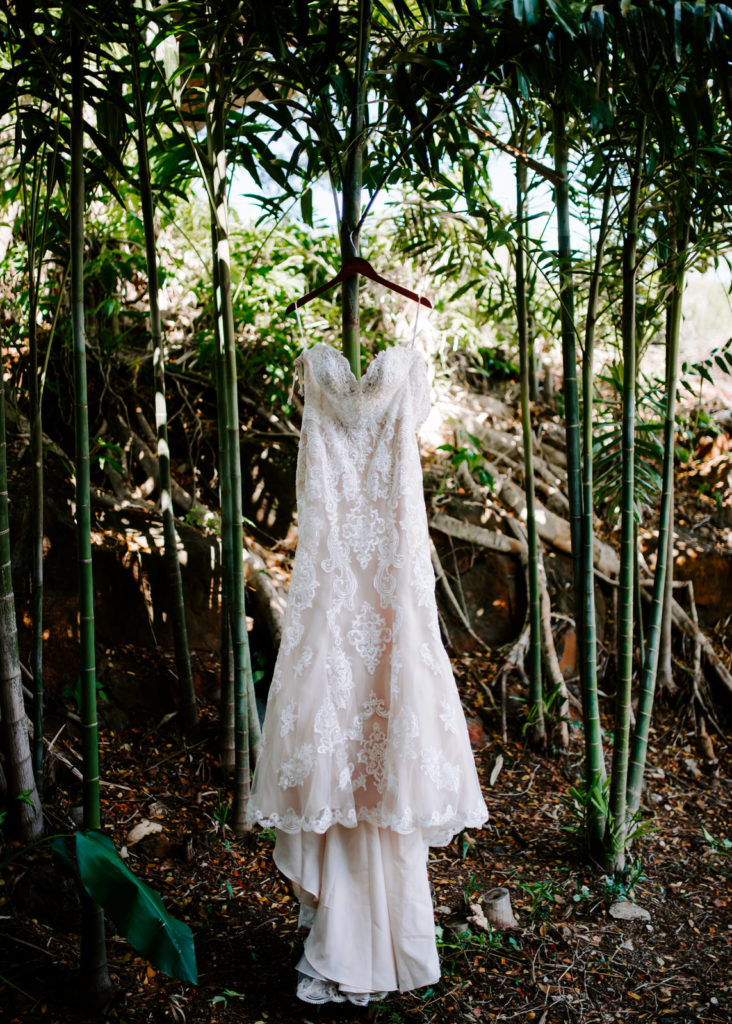 Dress hanging in the bamboo
