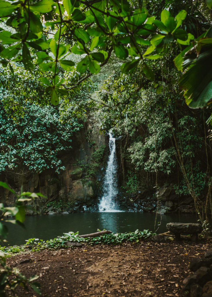 waterfall in poipu botanical gardens 