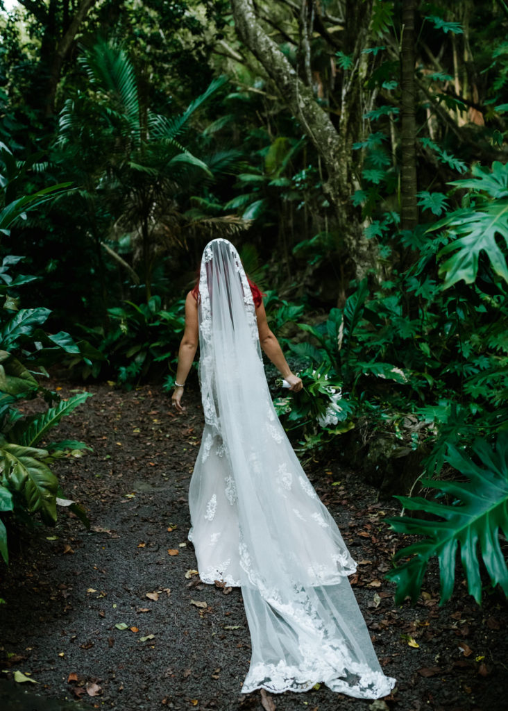 bride wandering through the jungle